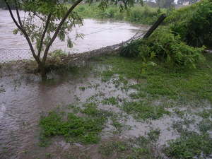 derrumbado cerco
