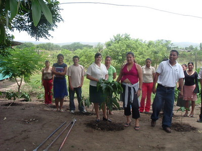 huerto