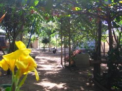 vivero